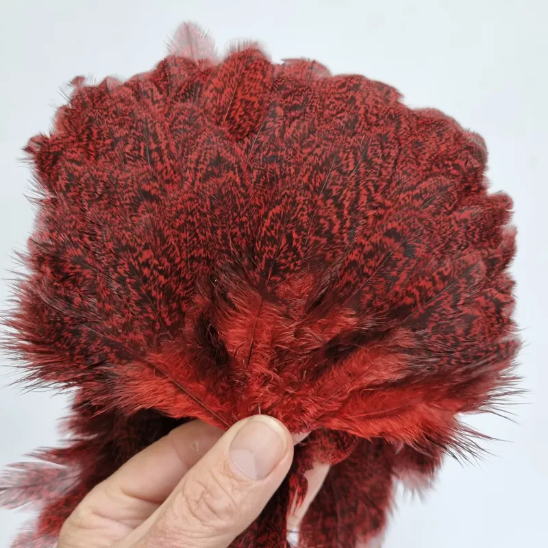 Whiting Coq de Leon Hen Saddle in Speckled Red-3